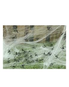 Pose med dekorative edderkopper