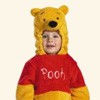 Winnie the Pooh