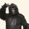 Gorille
