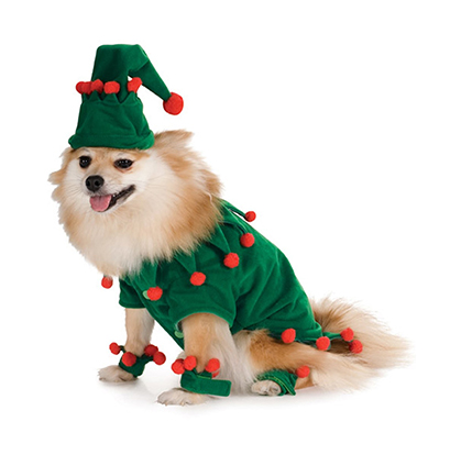 costume elfo cane
