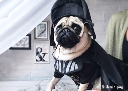 Darth Vader Kostüme für Hunde