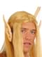 Pointy Elf Ears