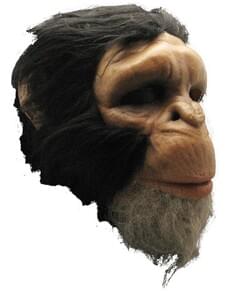 Maschera scimpanzè classico