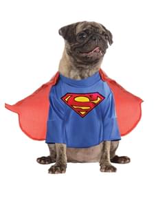 Superman Kostüm für Hunde classic