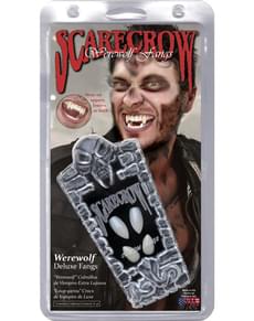 Canines vampire supérieur inférieur