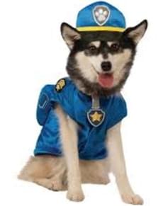 Dog's Chase Paw Patrol Costume