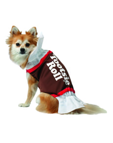 Koirien Makea Suklaa-asu