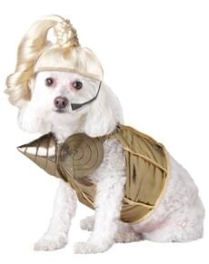 Costume l'ambizione bionda